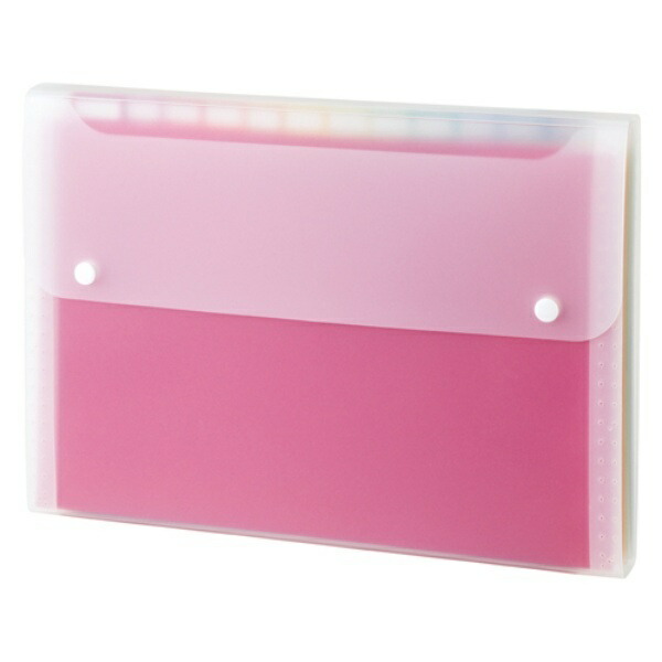 Sekisei Document File AdOne Rainbow A4 AD-2212-00 Multicolor