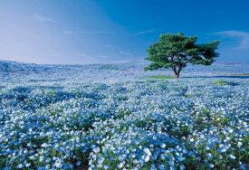 EPOCH 1053 Super Small Piece Jigsaw Puzzle Japanese Scenery World's Spectacular Views Nemophila Hill - Ibaraki (26×38cm) 31-003 Glue Included Spatula Included Points Voucher Included EPOCH