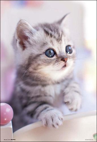 Beverly 300-Piece Jigsaw Puzzle Good Morning♪ (26×38 cm) 300-034