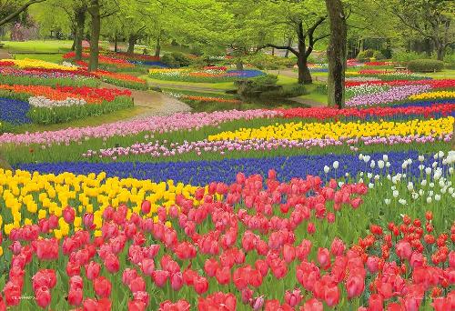 Yanoman 108-Piece Jigsaw Puzzle Large Pieces Japanese Scenery: Showa Memorial Park in Bloom, Tokyo (26x38cm) 01-2090 Includes: Piece Request Postcard, Glue, Spatula, Service Card, Jigsaw Puzzle Instructions
