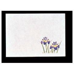 Yamako Far-Infrared Preservation Paper Small (100 sheets) Iris