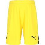 TEAMLIGA26_Shorts_JR