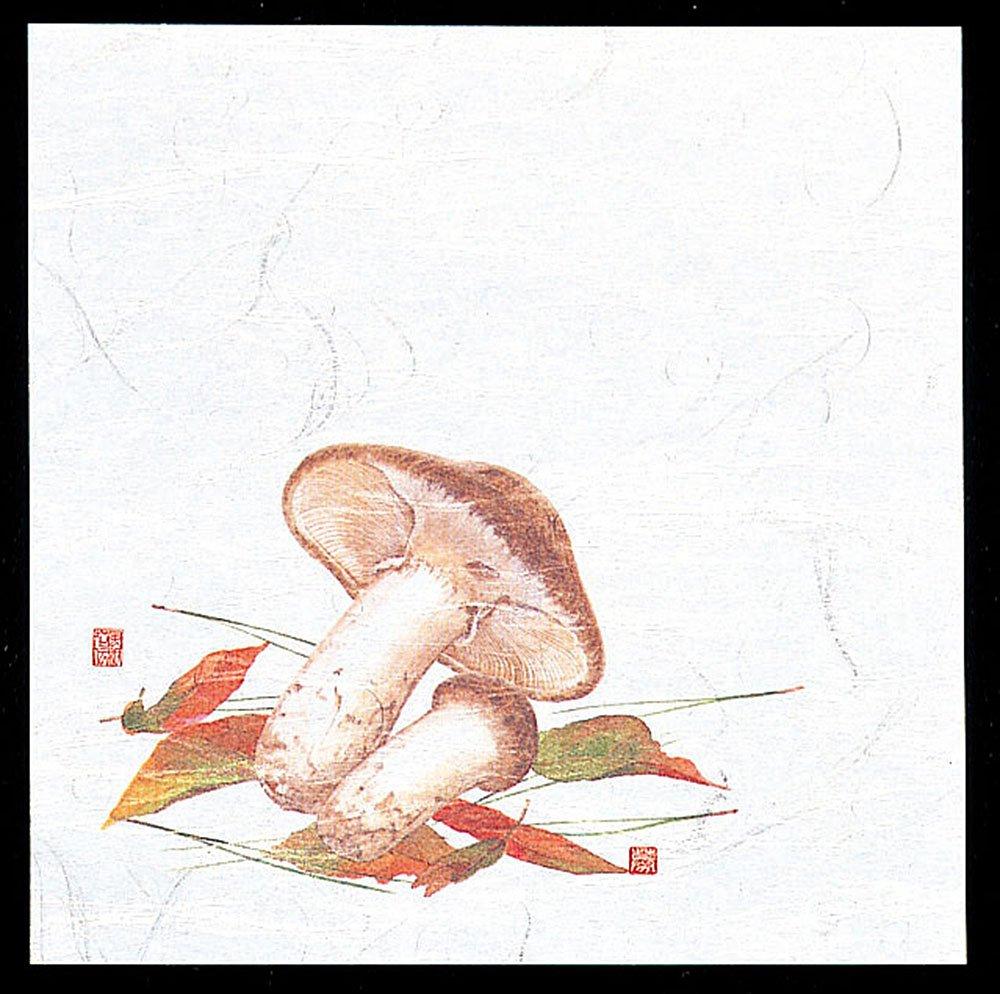 Yamaco Yumi Commercial Use 4-Sun OP Kaiseki Placemat Matsutake (100 Sheets) yamaco65118