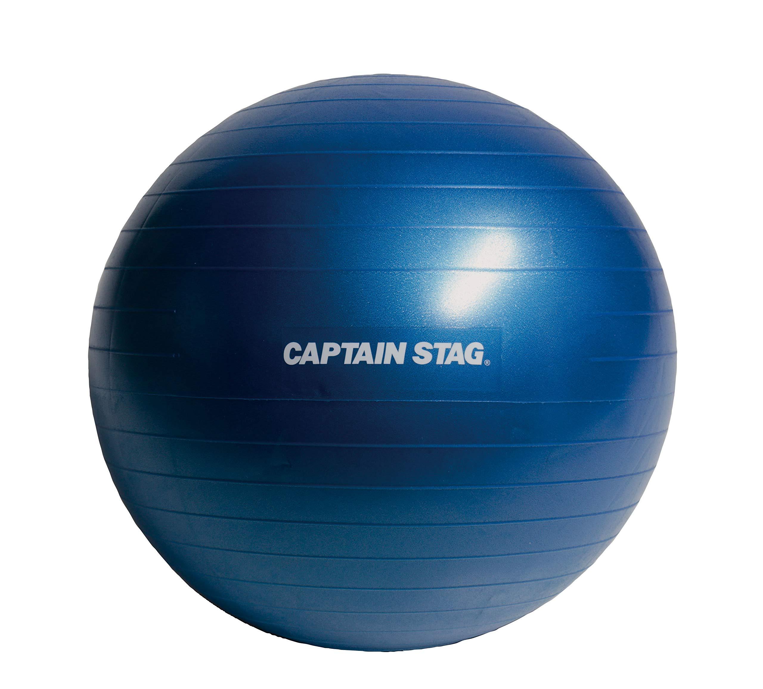 CAPTAIN STAG Exercise Fitness Core Training Fitness Ball Φ65cm Blue Vit Fit UR-862