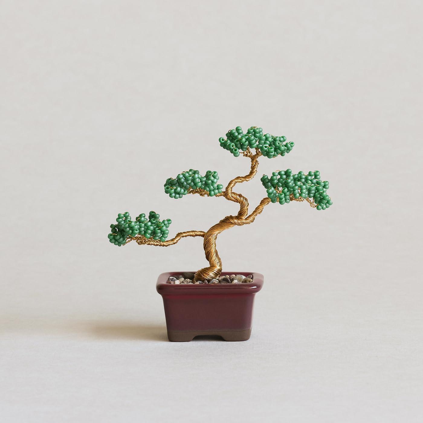 Nettite BONSAI Kit