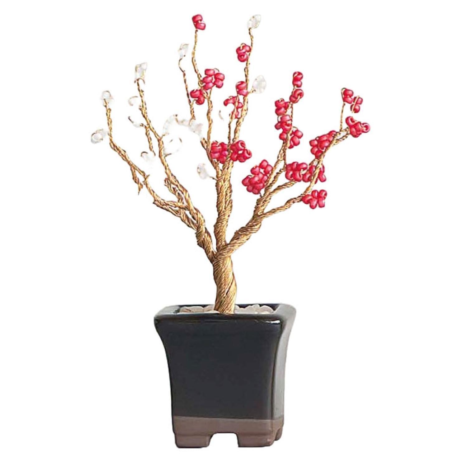 Nettite BONSAI Kit
