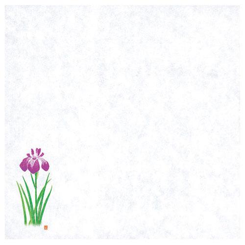 Yamaco Yumi Commercial Use Four Seasons Oil-Resistant Paper (Small) Iris yamaco64916X5