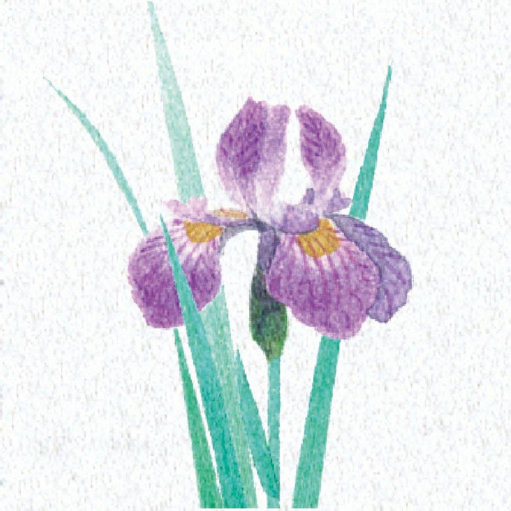 Yamaco Yumi Commercial Use Double-Sided Laminated Four Seasons Color Sheet Iris (200 sheets) yamaco66368