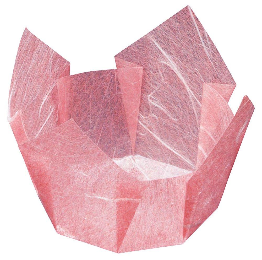 Yamaco Yumi Commercial Use Double-Sided OP Delicacies Insert Red Plum Cloud Dragon Small B 200 Sheets yamaco66647