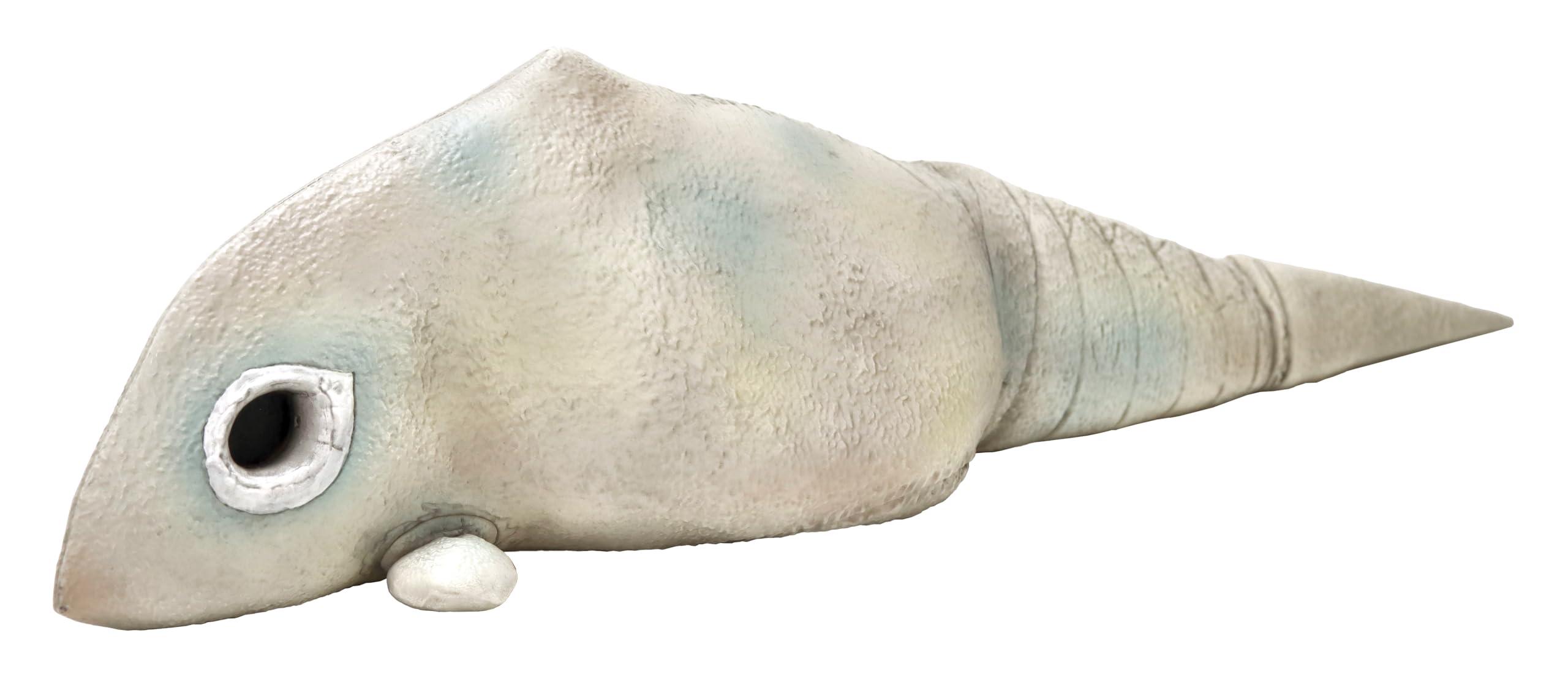 Character Content Production (Ccp) 1/6 Scale Special Effects Series Ultraman 2D Kaiju Gavodon (A) Approx. 420mm PVC Painted Complete Sofubi Figure