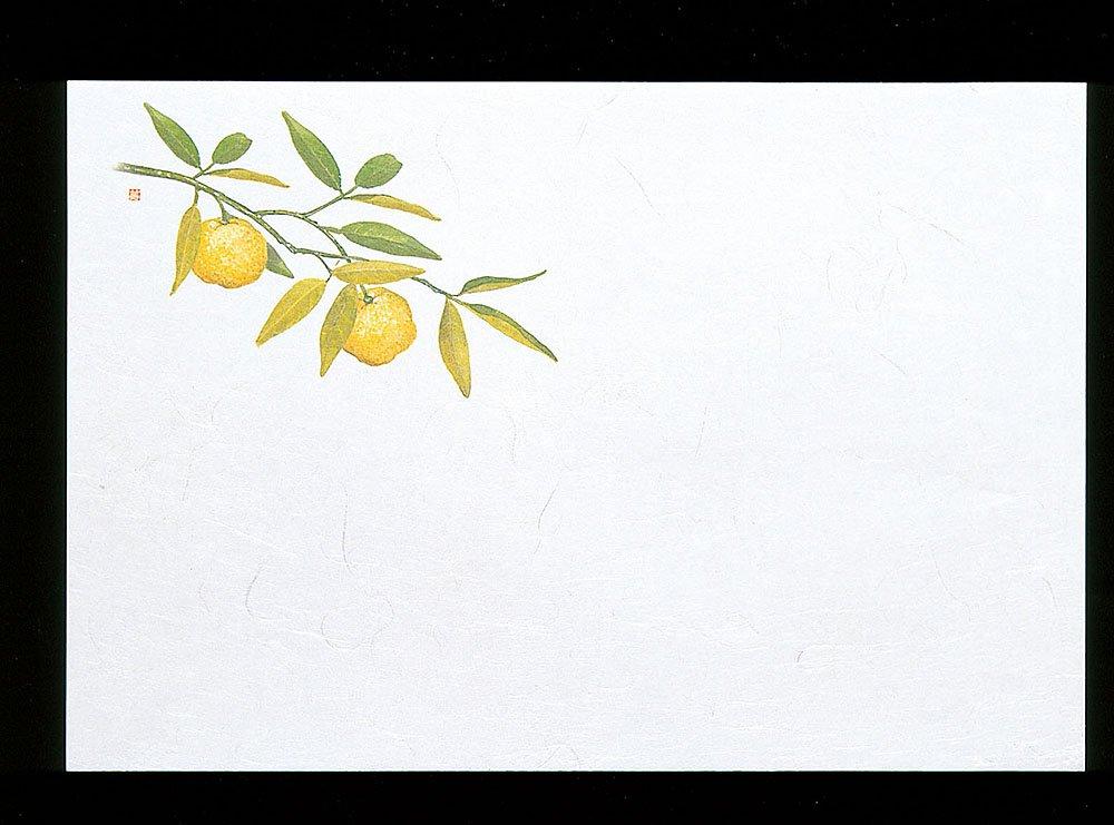 Yamaco Yumi Commercial Use 3-Shaku Unryu Washi Kaiseki Mat, Withered Simplicity, Yuzu (100 Sheets) yamaco65051