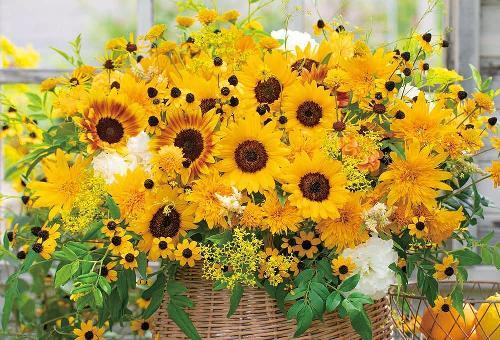 BEVERLY 1000-Piece Jigsaw Puzzle Positive Flower: Attract Good Fortune (49×72cm) 1000-026