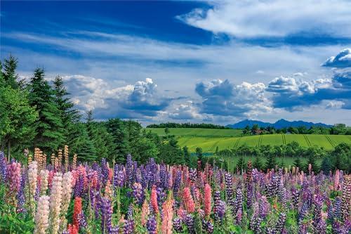 Yanoman 1000-Piece Jigsaw Puzzle: Japanese Scenery - Early Summer Breeze in Kamifurano (Hokkaido) (50x75cm) 10-1446 Includes: Piece Request Postcard, Glue, Spatula, Service Card, Jigsaw Puzzle Instructions