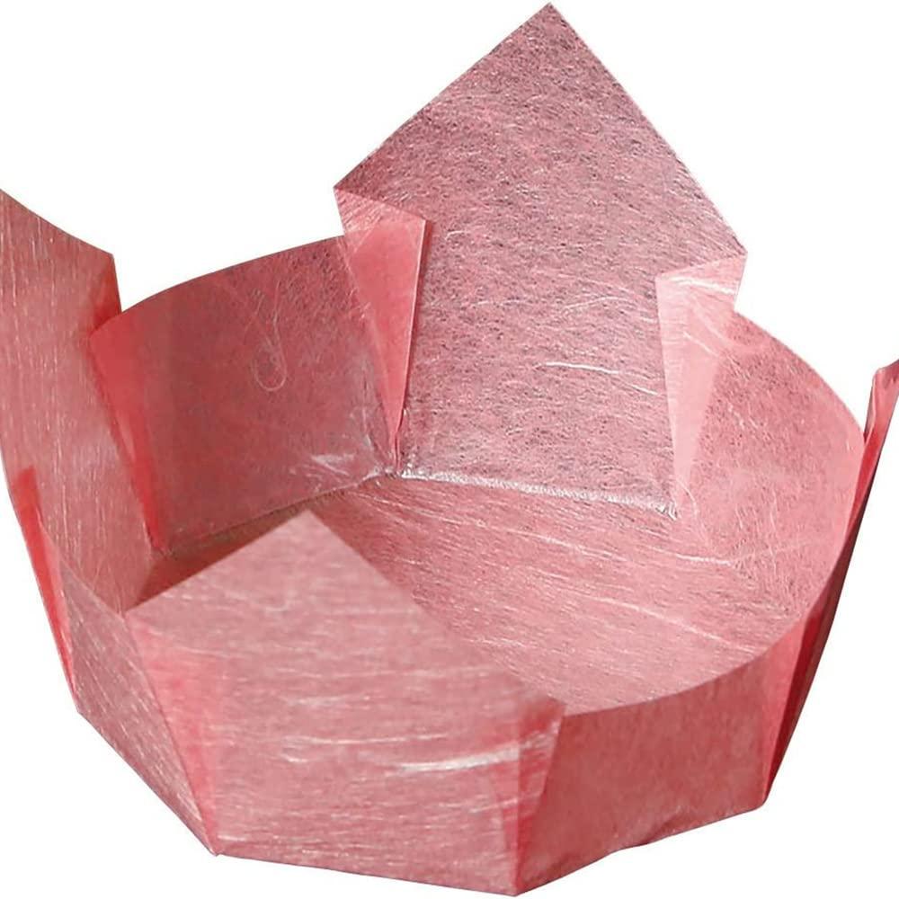 Yamaco Yumi Commercial Use Double-Sided OP Delicacies Insert (Large B) Red Plum Cloud Dragon (100 sheets) yamaco66657