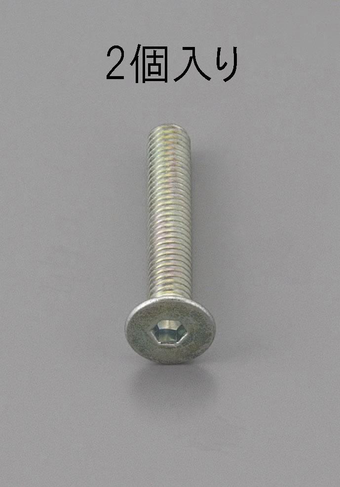 M8x10mm Hex Socket Head Cap Screw, Trivalent Chromate Plated / 2 pcs