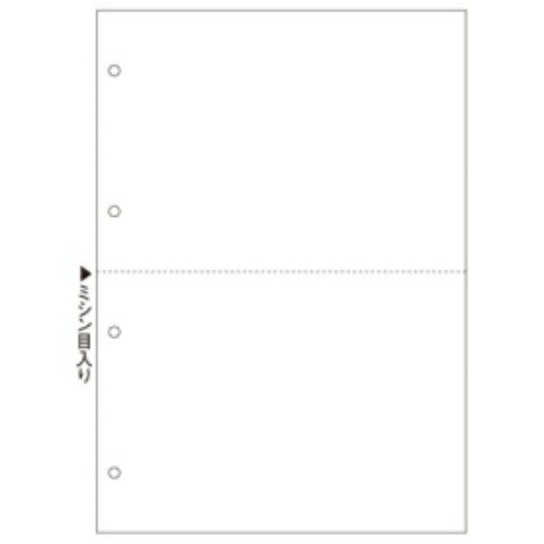 Hisago Multi-Purpose Printer Forms A4 Blank 2-Sided 4-Hole Punch BP2003WZ