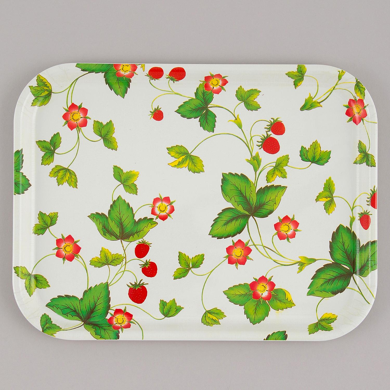 Antibacterial Tray 33.5cm