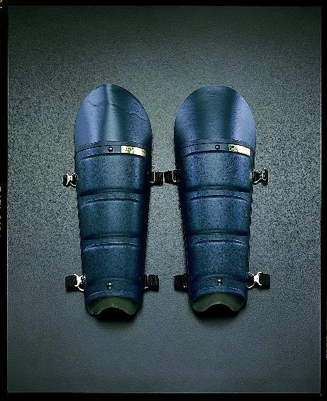 Shin guard