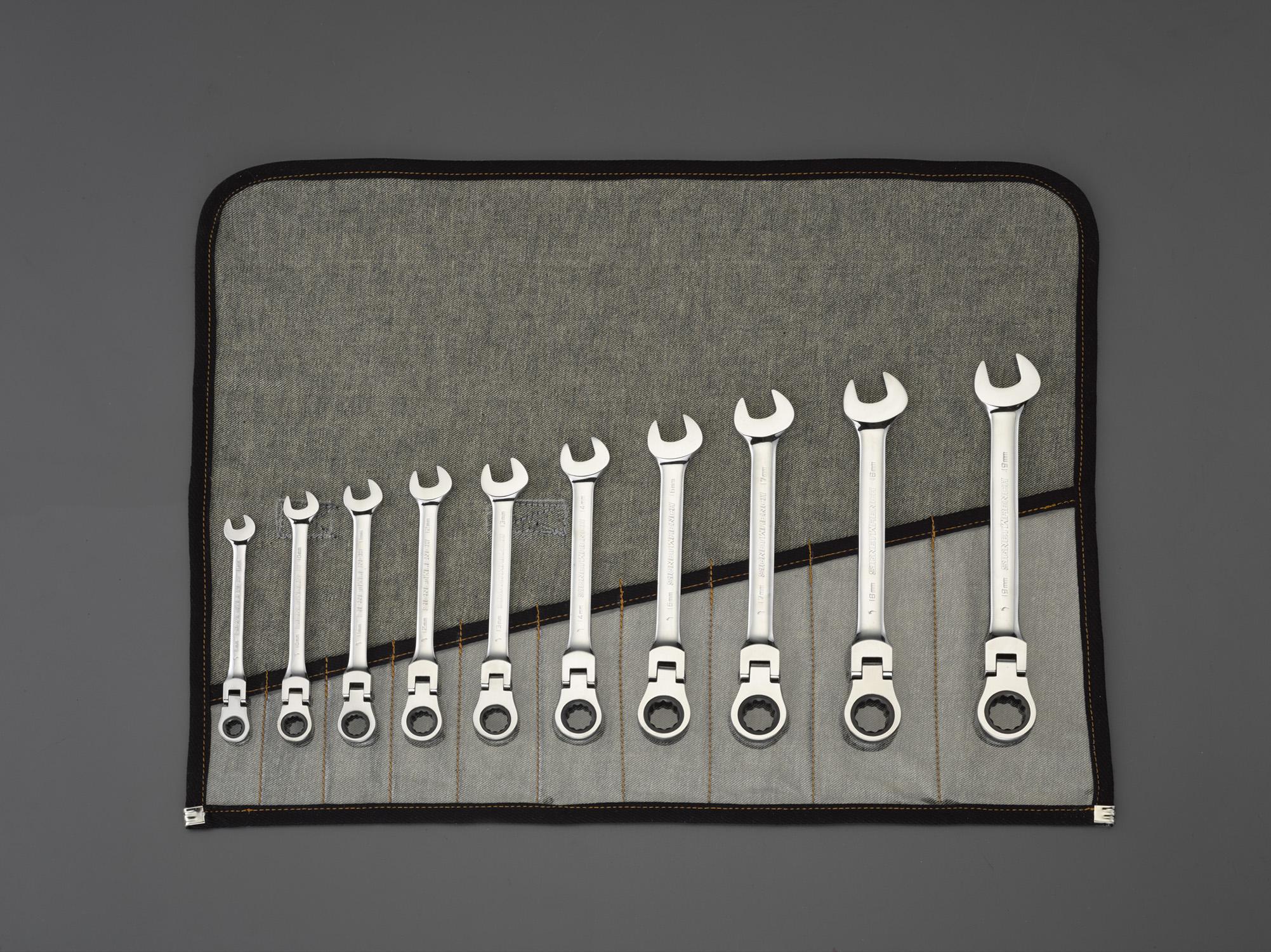 ESCO 10-Piece Combination Wrench Set (Swivel) EA614LK-1