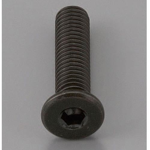 M12x25mm Hex Socket Head Cap Screw (Extra Low Head / Chrome-Plated / 1 Piece)