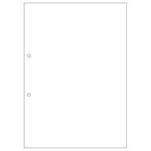 Hisago Multi-Purpose Printer Forms FSC A4 Blank Paper 2-Hole (100 Sheets) FSC2001