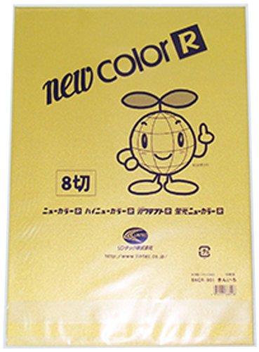 Gokura New Color R Special Edition (Gold/Silver, Fluorescent New Color R) 8x10-inch, 10-sheet set