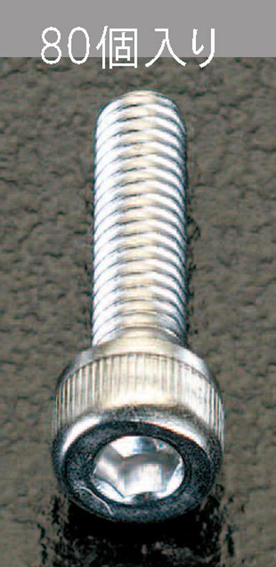 M4x12mm Hex Socket Head Cap Screw (Stainless Steel / 80 pcs)