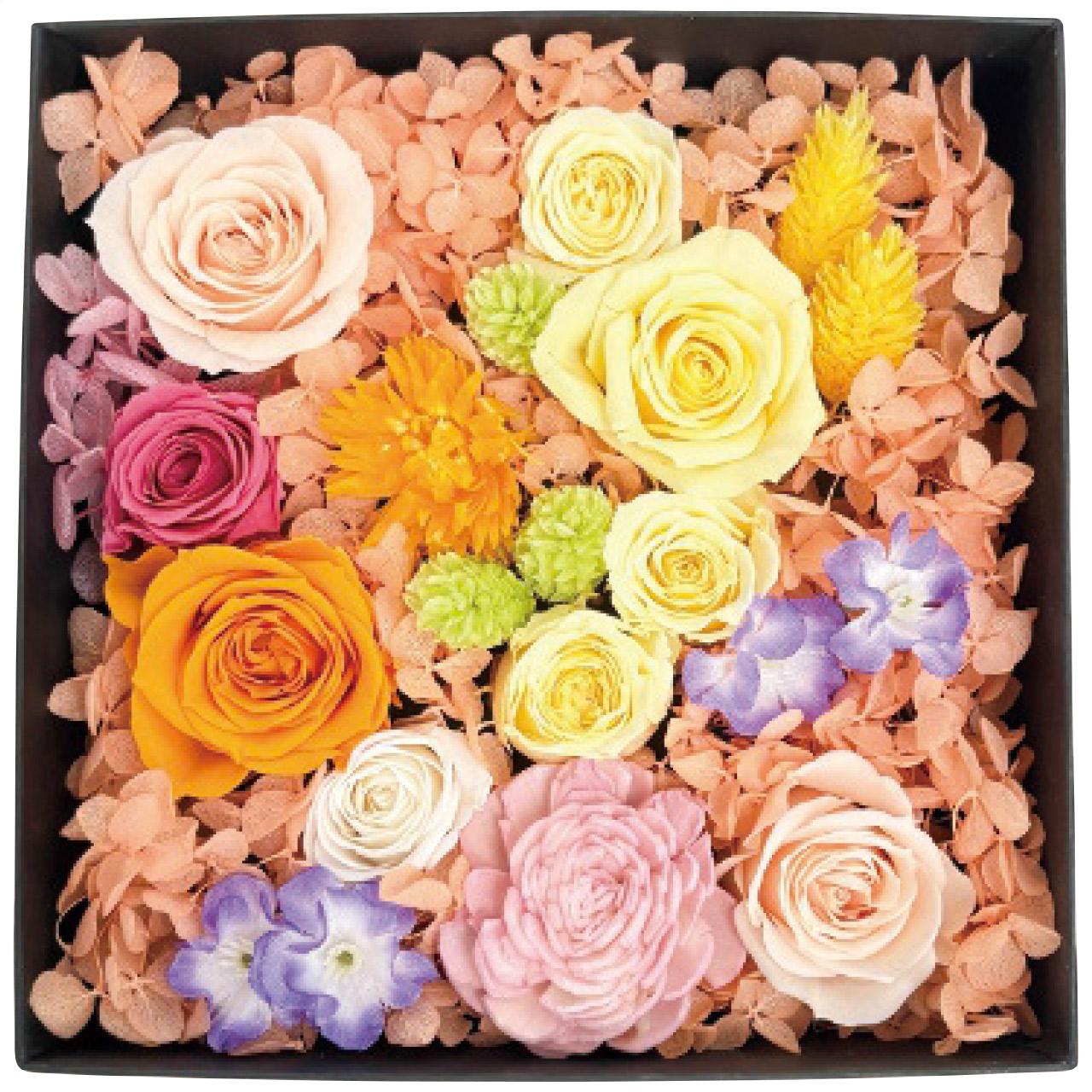 Preserved Flowers Jardin Fleuri 2026-pr-tr-op (Tropical)