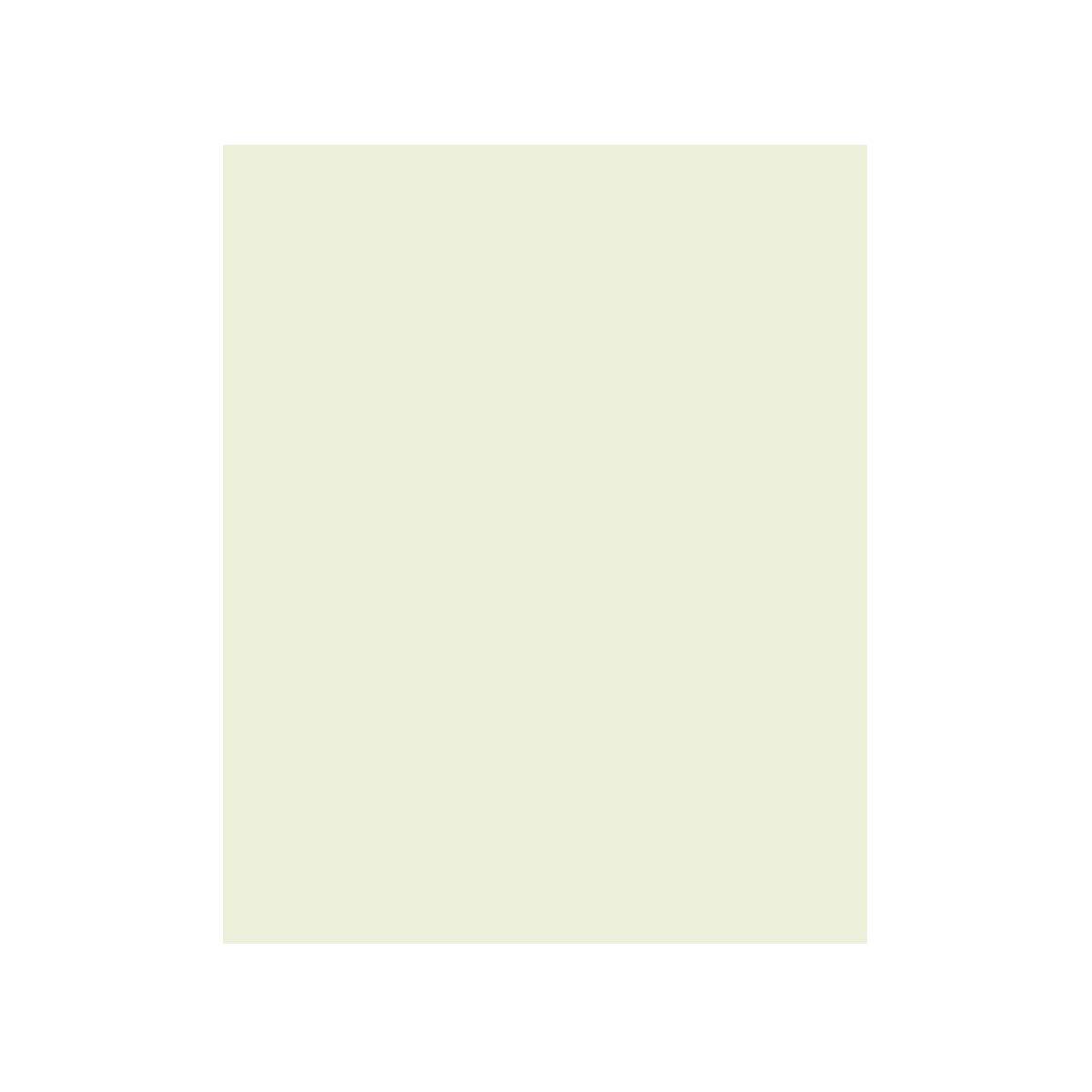 New Color R 8x10 Sheets, 100-Sheet Pack