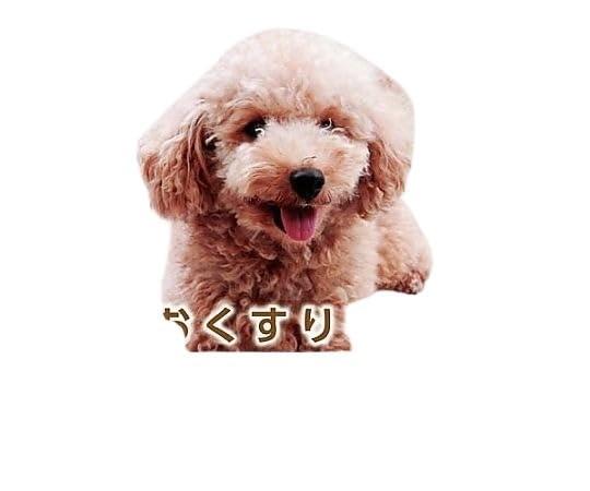 Daio Miura Medication Record Book (Standard Edition) 40 Pages Dog 1 Pack (50 Books)