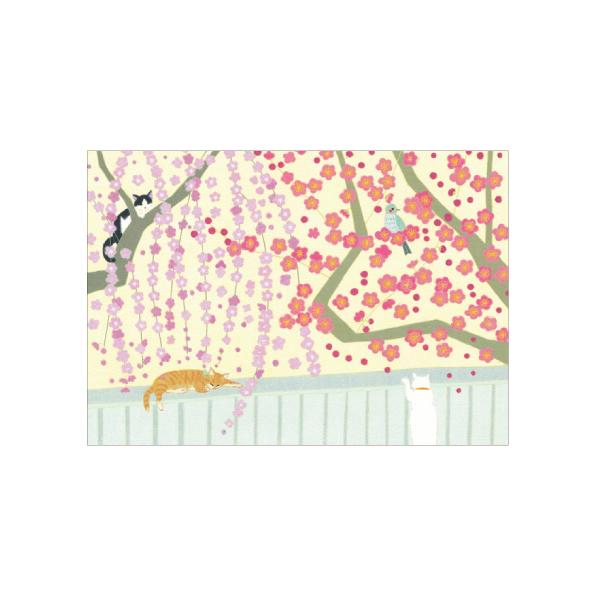 Mimo Hirai Postcard Set of 5: Early Spring Plum Blossom Greetings/WM-0644