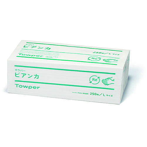 250x250mm Hand Towels (250 sheets)