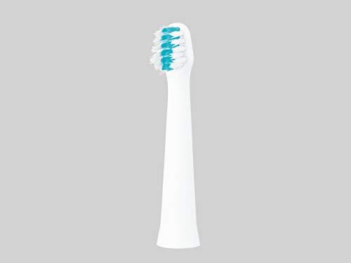 Slim-Fit Ultra-Fine Bristle Brush (2-Pack)
