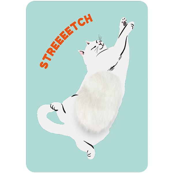 Pet-Friendly Postcard: Shiro