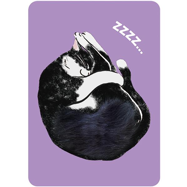 Pet-Friendly Postcard: Split-Faced