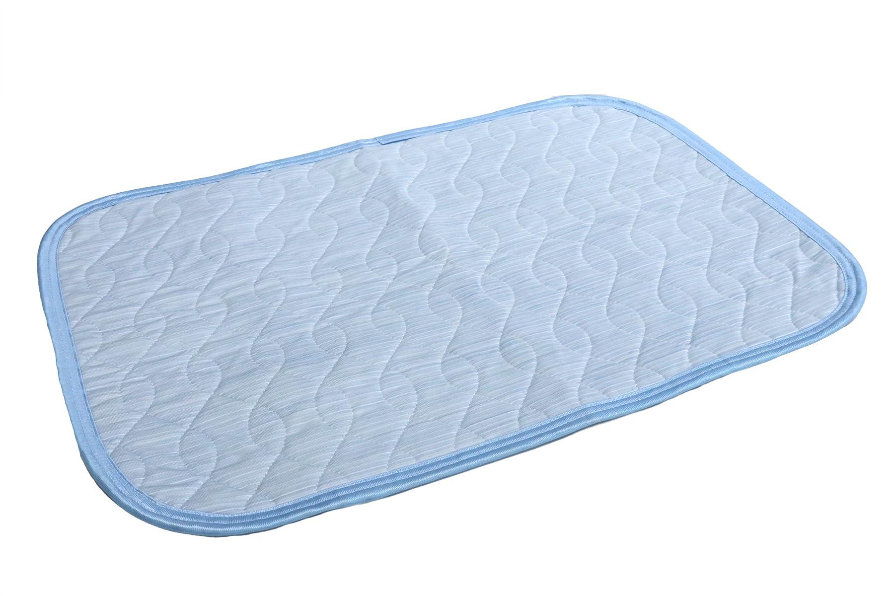 Ice Sleep EX Hemp Pillow Pad