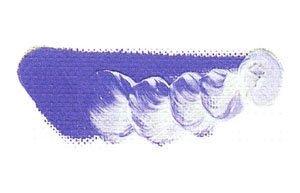 Mazda Quick Oil Paint No. 6 20ml 022 Vivid Blue