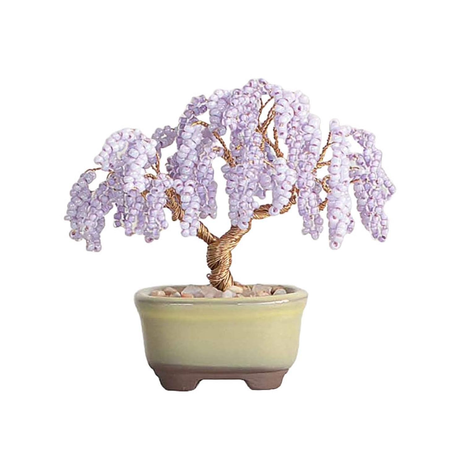 Nettite BONSAI Kit