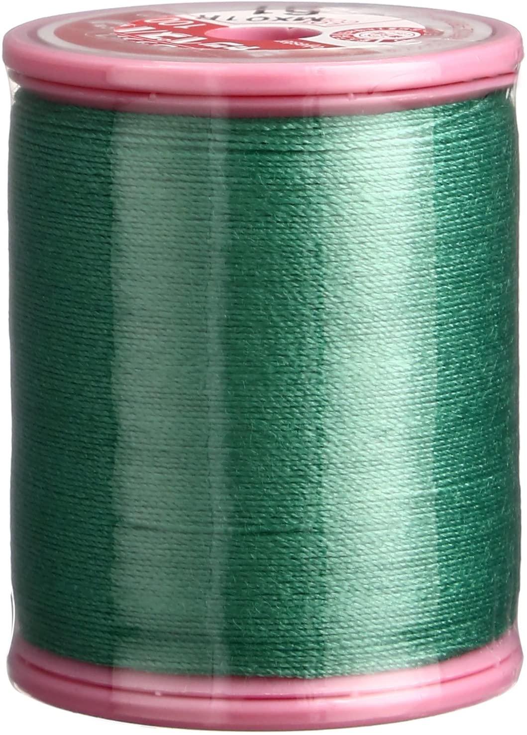 Fujix Schappe Spun #30 100m col.61