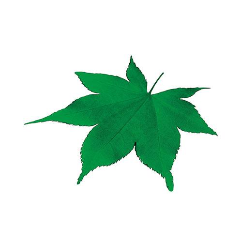 ヤマコー 用美 商业用 PP贴合 压花镂空迷你透明片 (约7.5×7.4cm) 青枫叶 200枚入 酒店·旅馆·餐厅向け专用品 yamaco65783