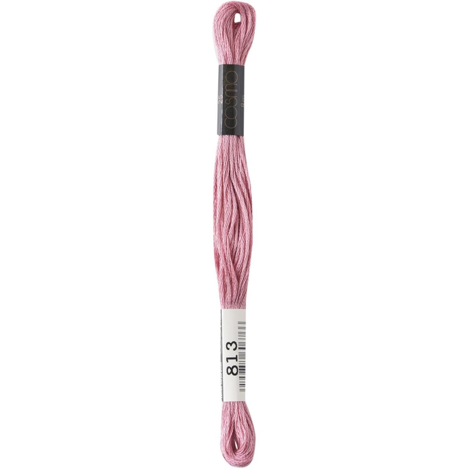 LECIEN (蕾天) COSMO 绣花线 25号线 1箱6束装 No.25 Floss (线) 颜色813