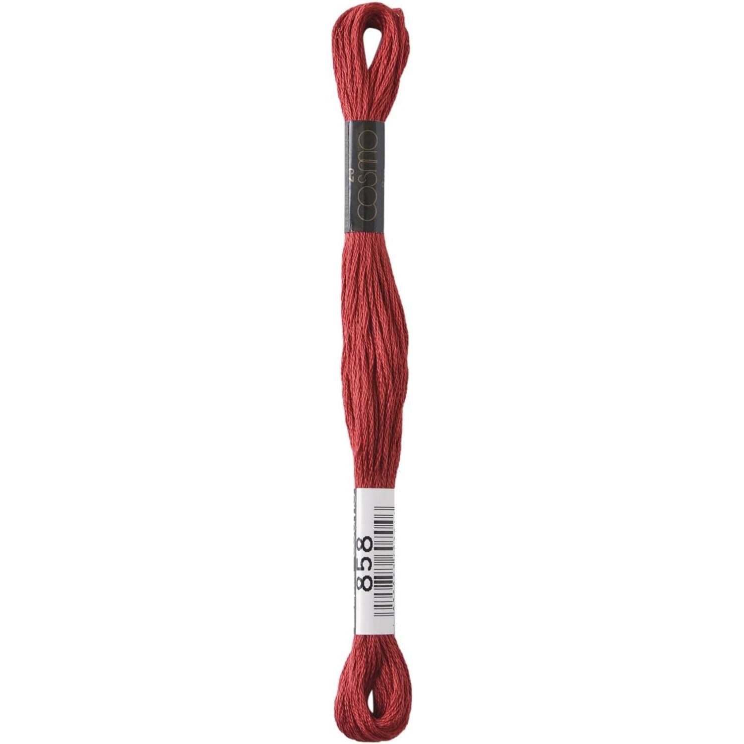 LECIEN Cosmo Embroidery Floss No. 25 Thread 1 Box of 6 Skeins No. 25 Floss Color 858