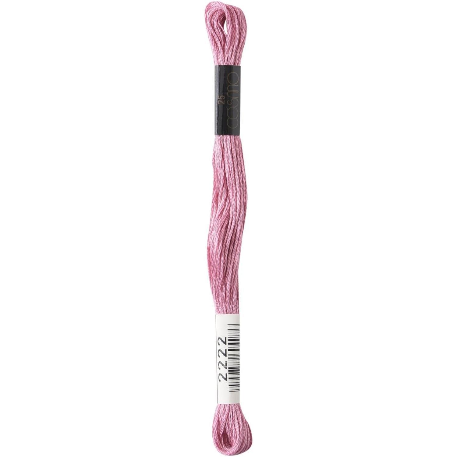 LECIEN (乐善) COSMO 绣线 25号线 1箱6束装 No.25 Floss(绣线) 颜色2222