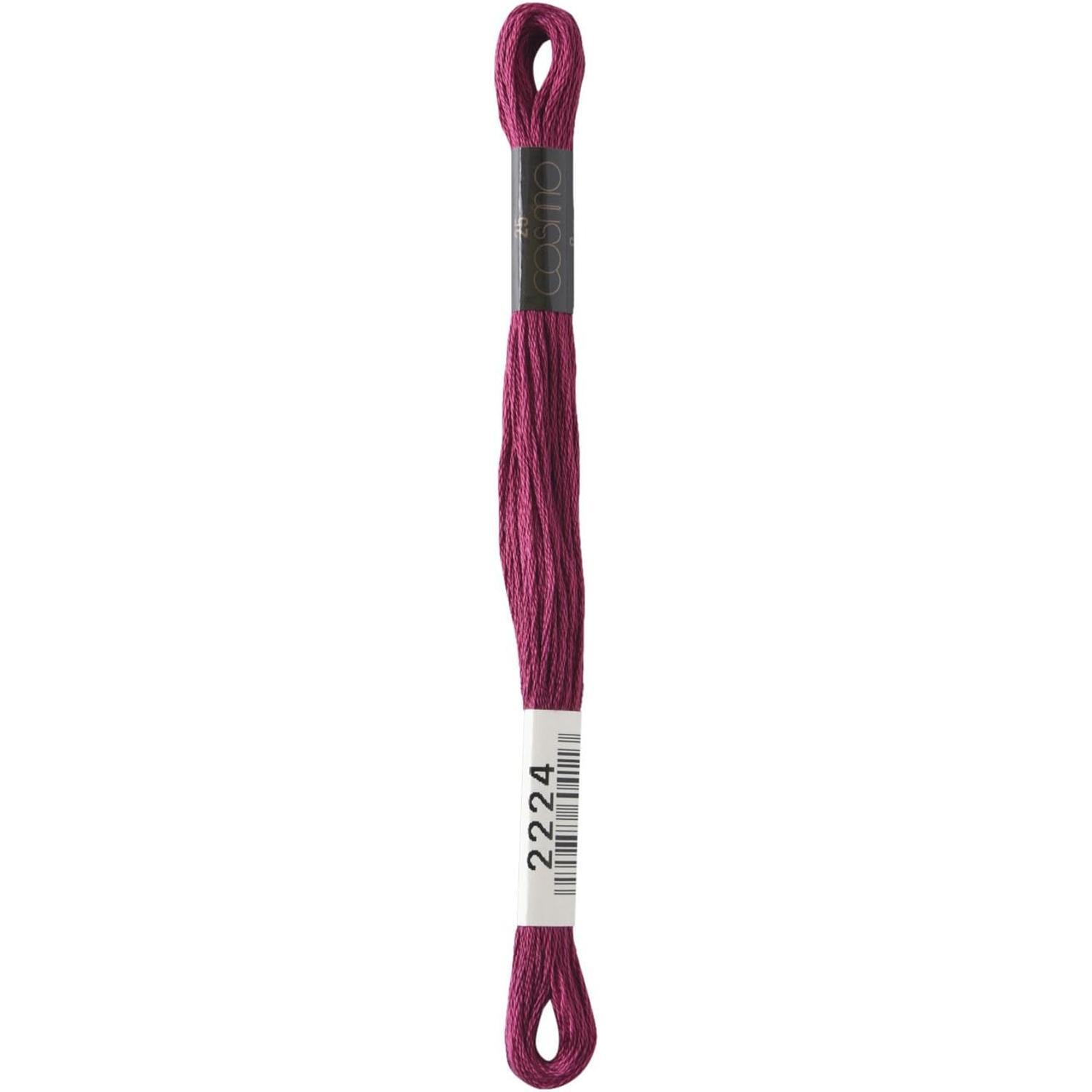 LECIEN (露西安) COSMO 绣线 25号线 1箱6束入 No.25 Floss(绣线) 颜色2224