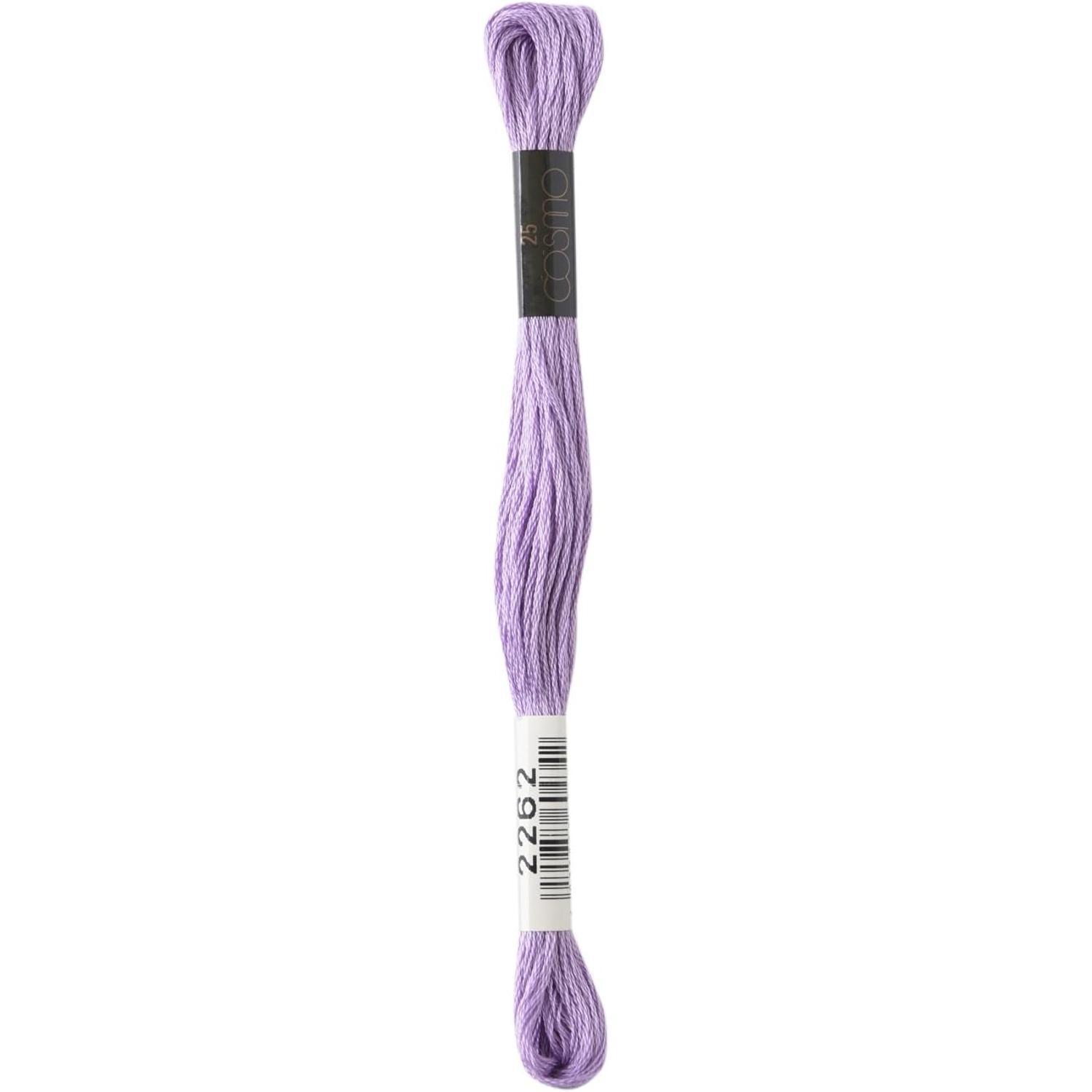 LECIEN (乐善) COSMO 绣花线 25号线 1箱6束入 No.25 Floss (线) 颜色2262