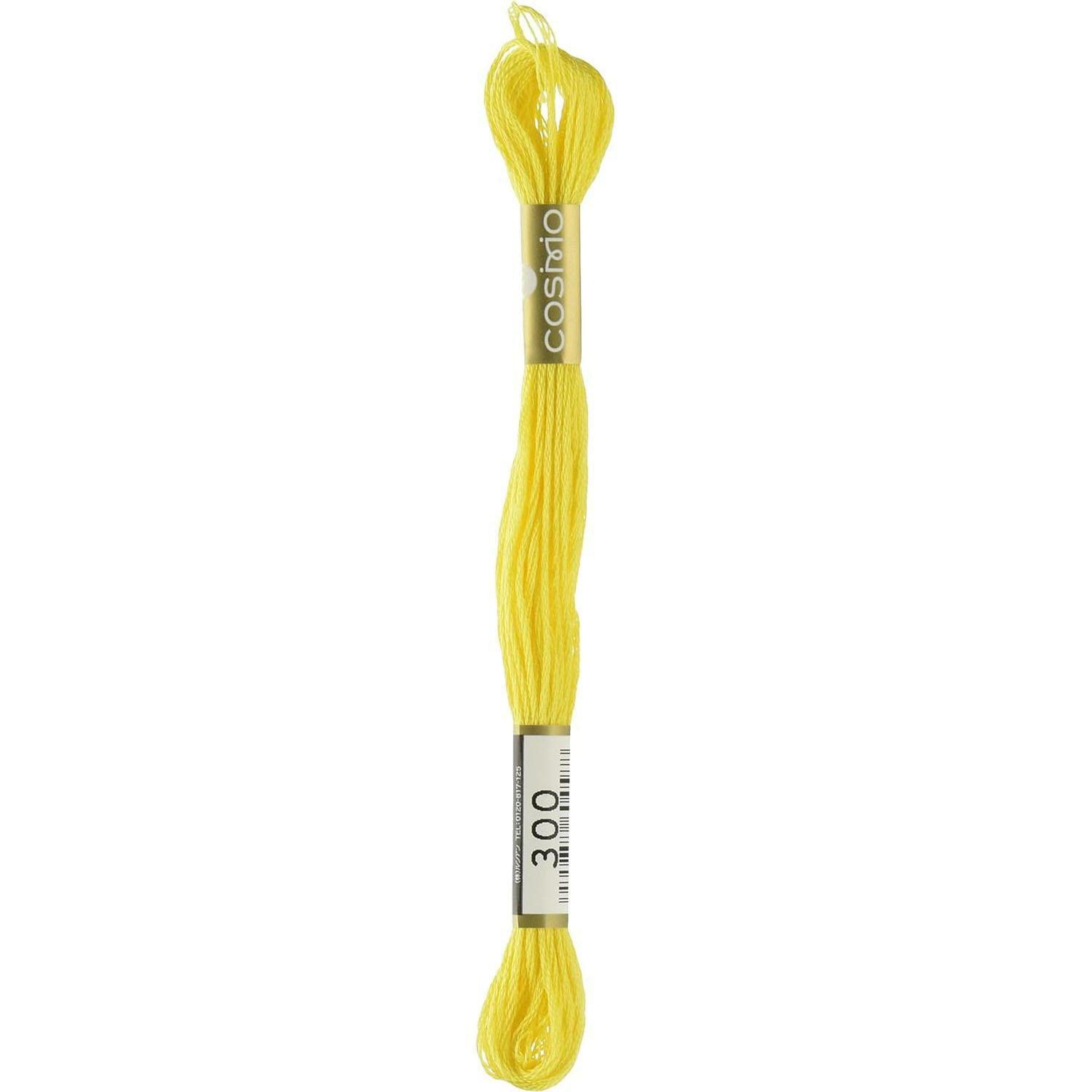 LECIEN Cosmo Embroidery Floss No. 25 Thread 1 Box of 6 Skeins No. 25 Floss Color 300