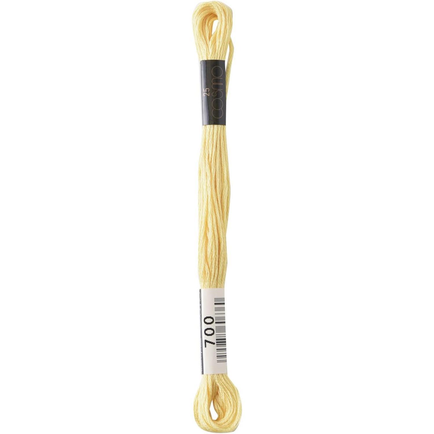 LECIEN Cosmo Embroidery Floss No. 25 Thread 1 Box of 6 Skeins No. 25 Floss Color 700