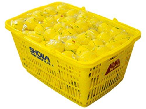 Soft Tennis Balls, Red and Yellow, 10 Dozen
